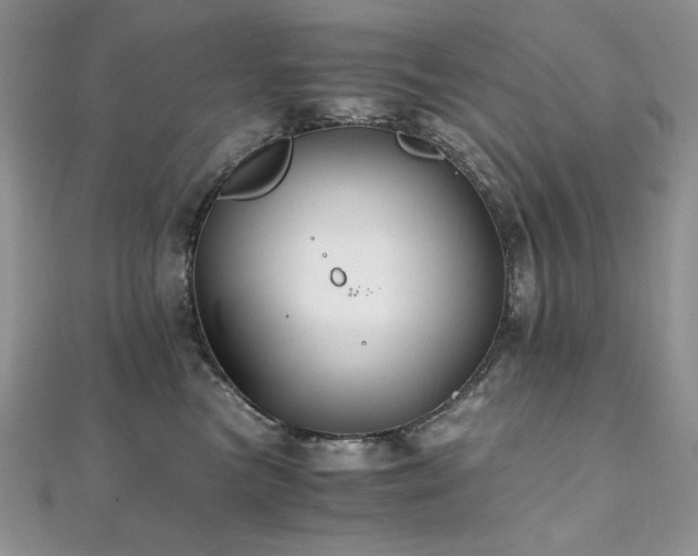 X0000110930473200906181433
