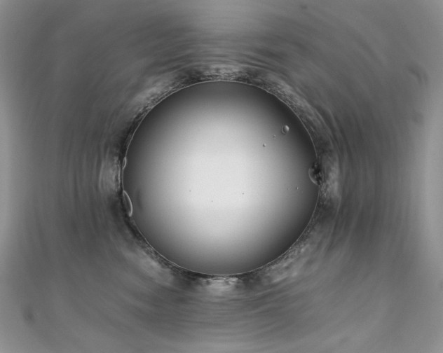 X0000110930474200906181433