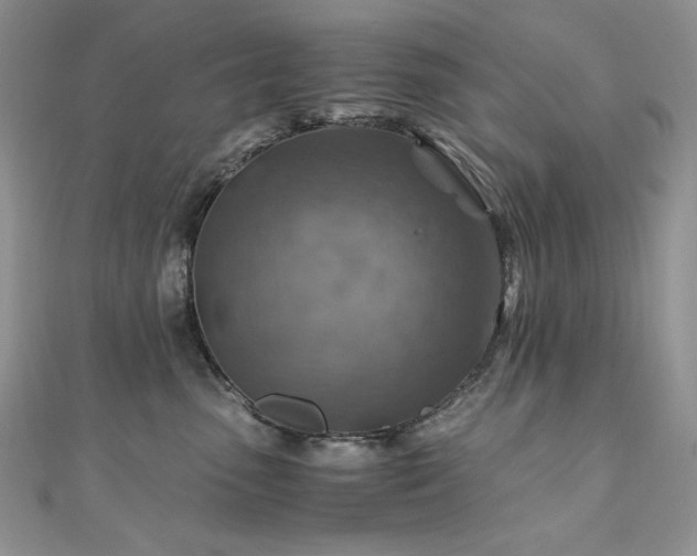 X0000110930475200906181433