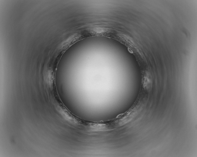 X0000110930476200906181433