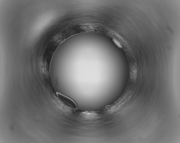 X0000110930477200906181433