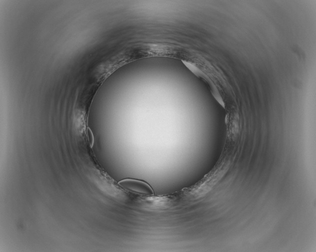 X0000110930478200906181433