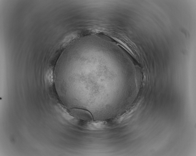 X0000110930479200906181433