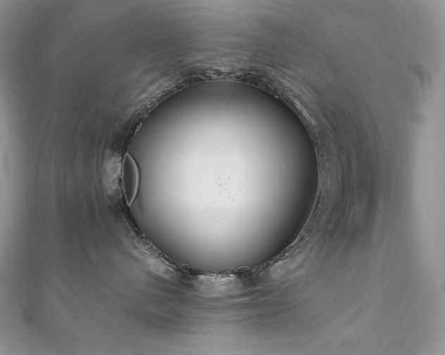 X0000110930480200906181433
