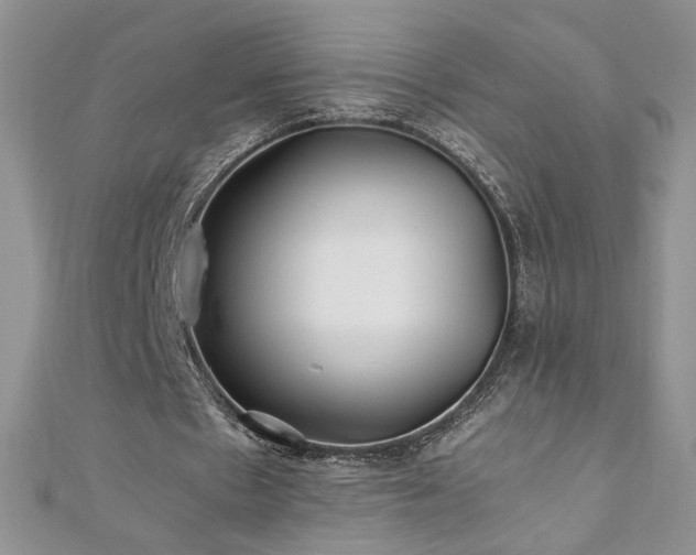 X0000110930481200906181432