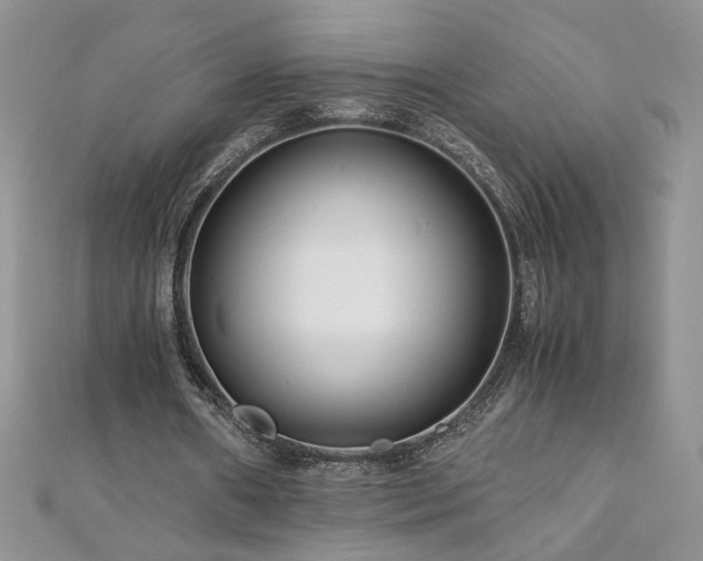 X0000110930482200906181432