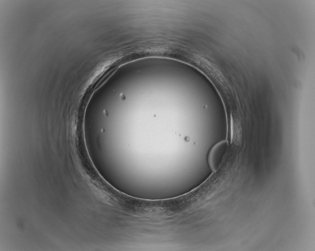 X0000110930483200906181432