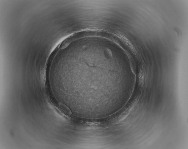 X0000110930484200906181432