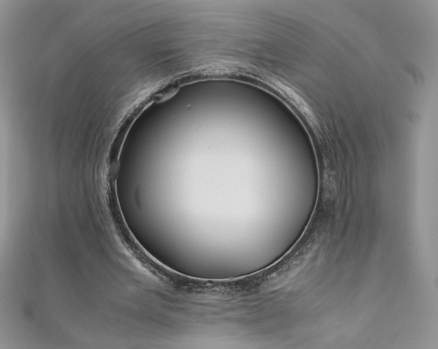 X0000110930485200906181432
