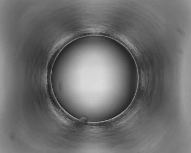 X0000110930486200906181432