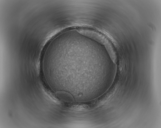 X0000110930488200906181432