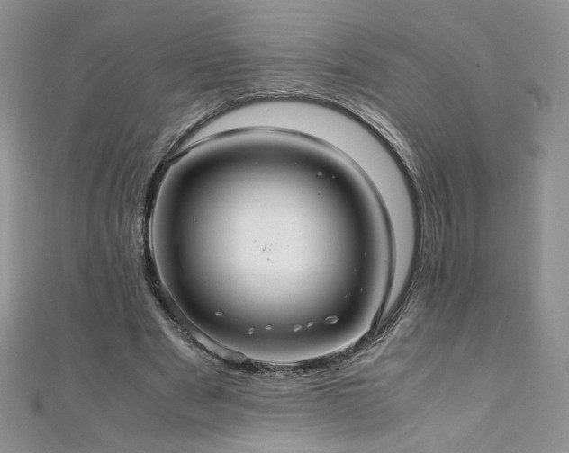 X0000110930489200906181432