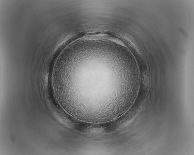 X0000110930491200906181432