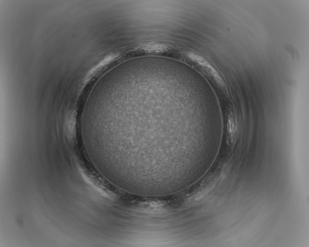 X0000110930492200906181432