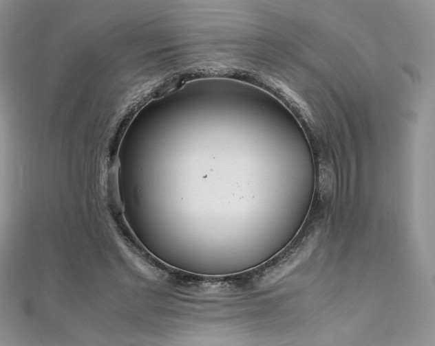 X0000110930493200906181432