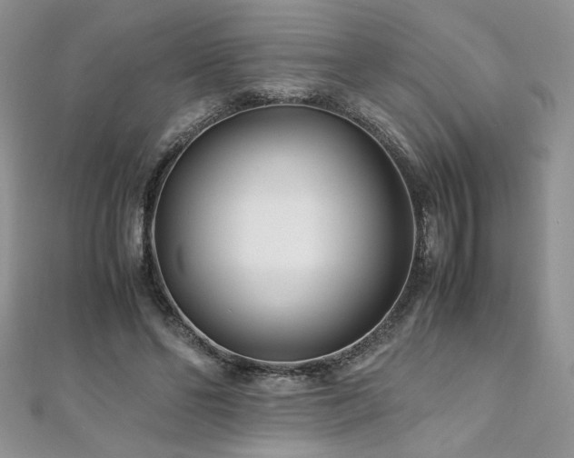 X0000110930494200906181432