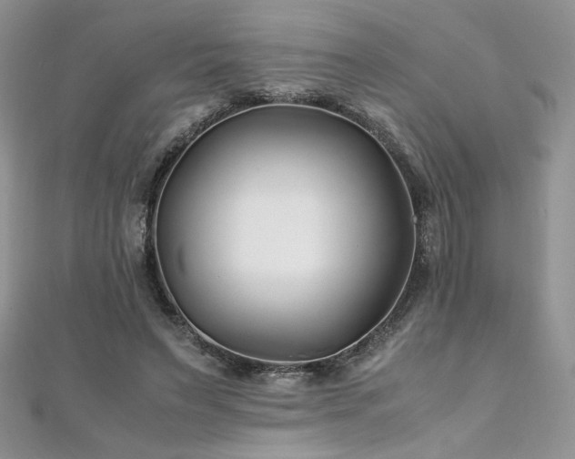X0000110930495200906181432