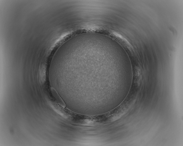 X0000110930496200906181432