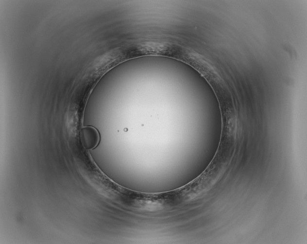 X0000110930498200906181432