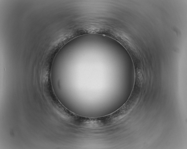 X0000110930499200906181432