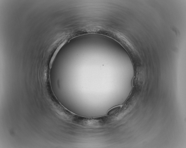 X0000110930501200906181432
