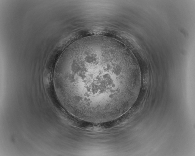 X0000110930503200906181432