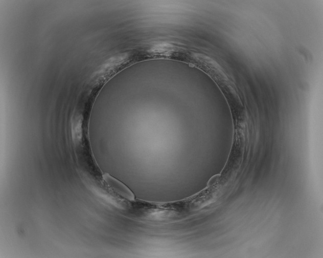 X0000110930504200906181432