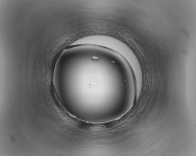 X0000110930505200906181432