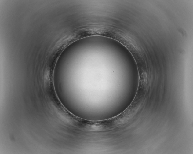 X0000110930506200906181432