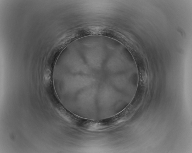 X0000110930507200906181432