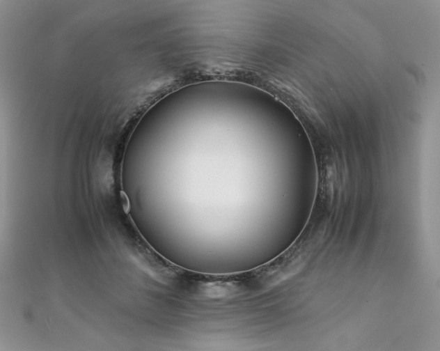 X0000110930508200906181432