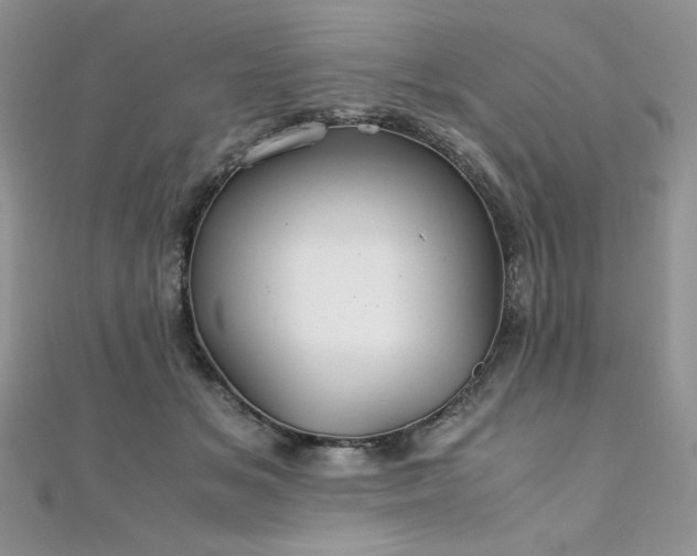X0000110930509200906181432
