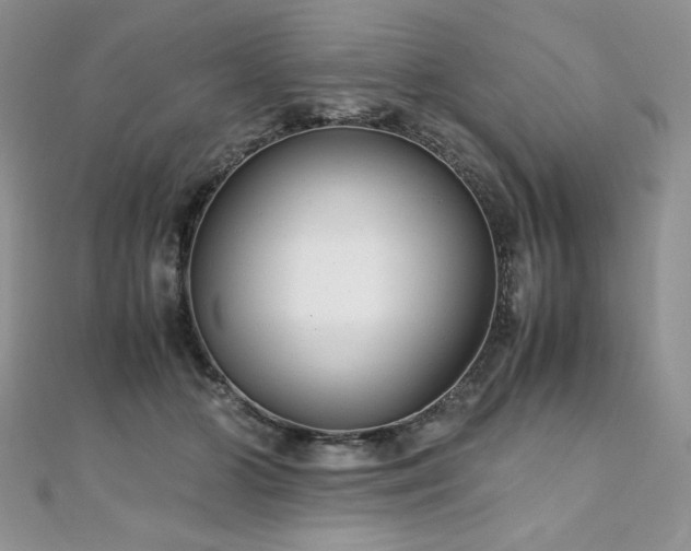 X0000110930510200906181432