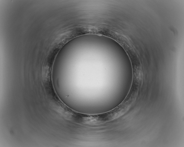 X0000110930511200906181432
