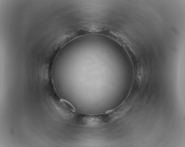 X0000110930512200906181432