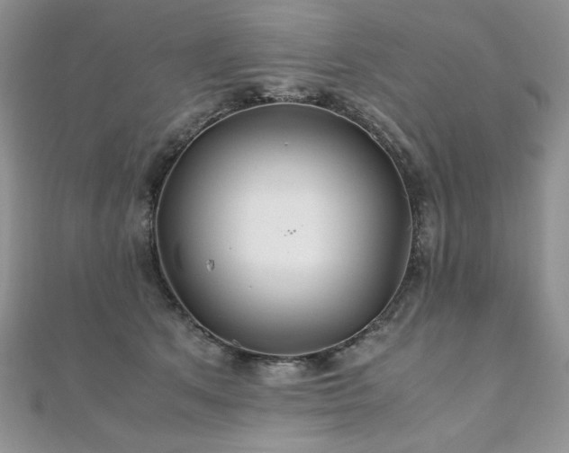 X0000110930513200906181432