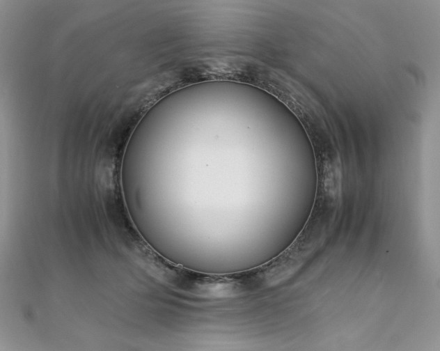 X0000110930514200906181432