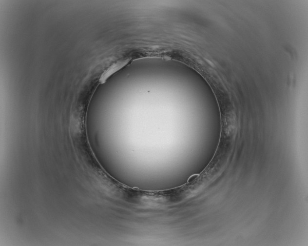 X0000110930515200906181432