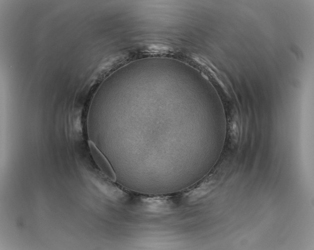 X0000110930516200906181432