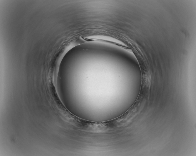 X0000110930517200906181432