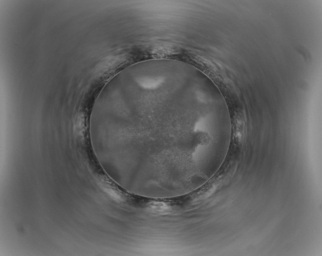 X0000110930519200906181432