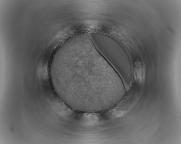 X0000110930520200906181432