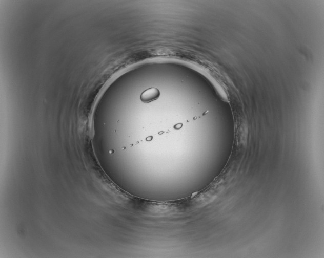 X0000110930521200906181432