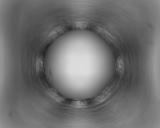 X0000110930522200906181431