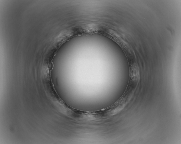 X0000110930523200906181431