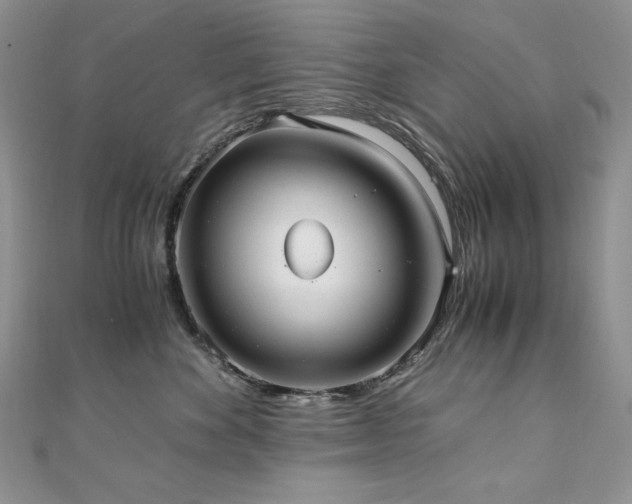 X0000110930524200906181431