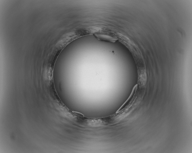 X0000110930525200906181431