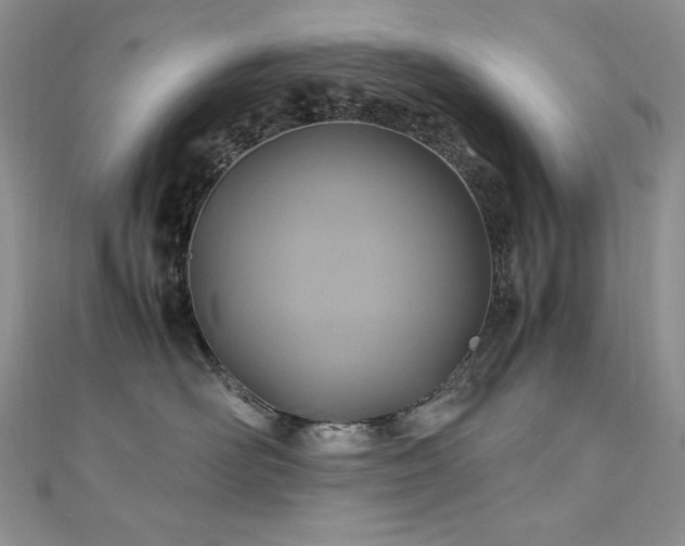 X0000110930526200906181431
