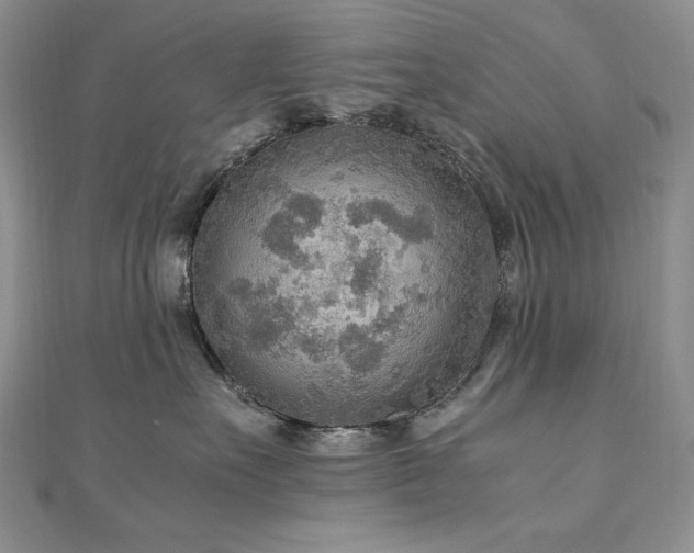 X0000110930527200906181431
