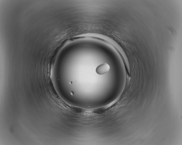X0000110930528200906181431